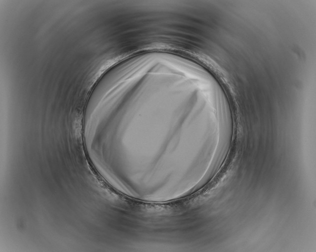 X0000112070945200908251039