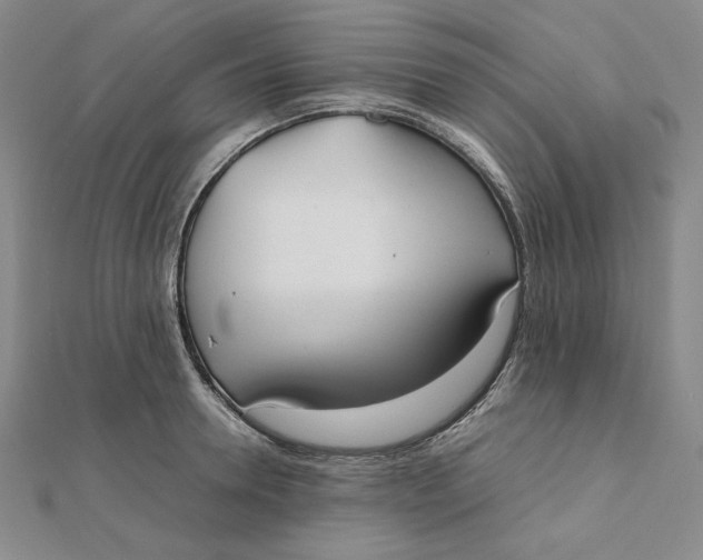 X0000112070946200908251039