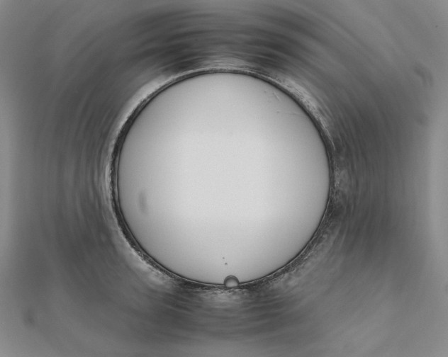 X0000112070947200908251039