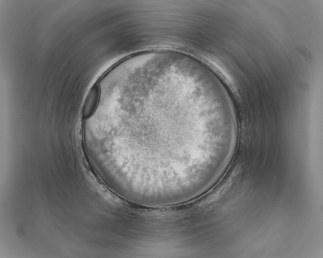 X0000112070948200908251039