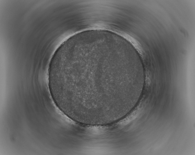 X0000112070950200908251039