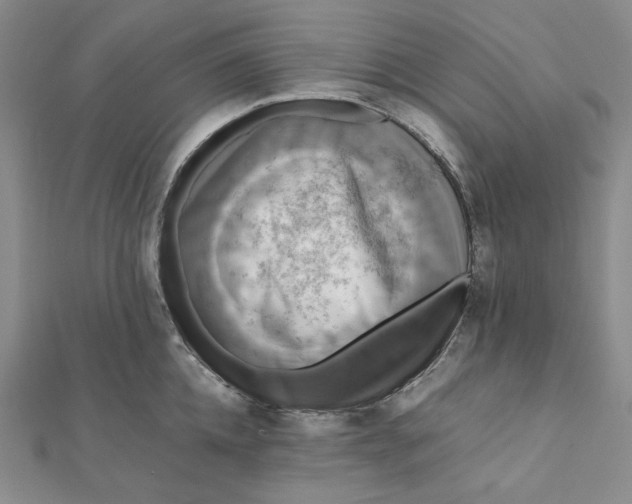 X0000112070952200908251039