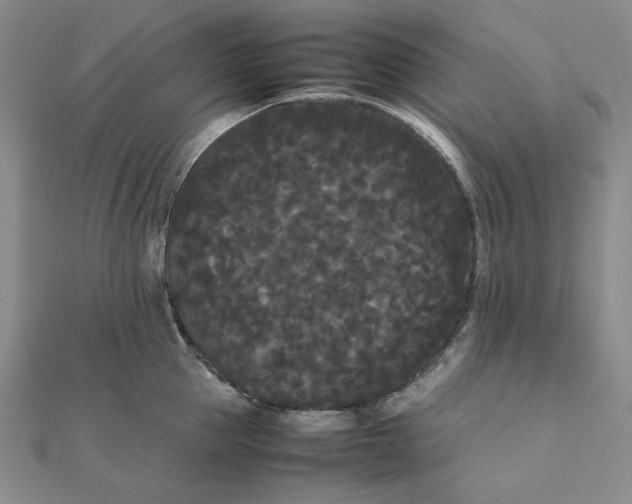 X0000112070953200908251040