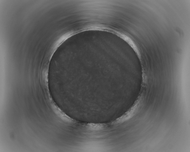 X0000112070954200908251040