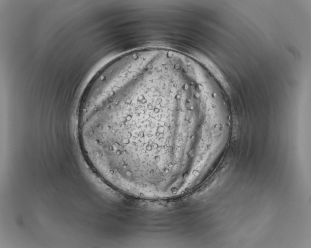 X0000112070955200908251040