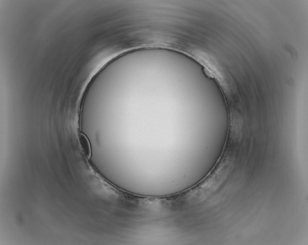X0000112070956200908251040