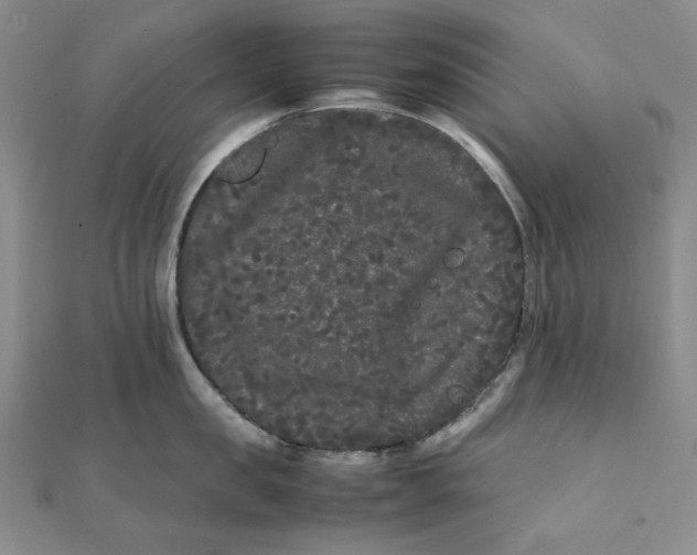 X0000112070957200908251040