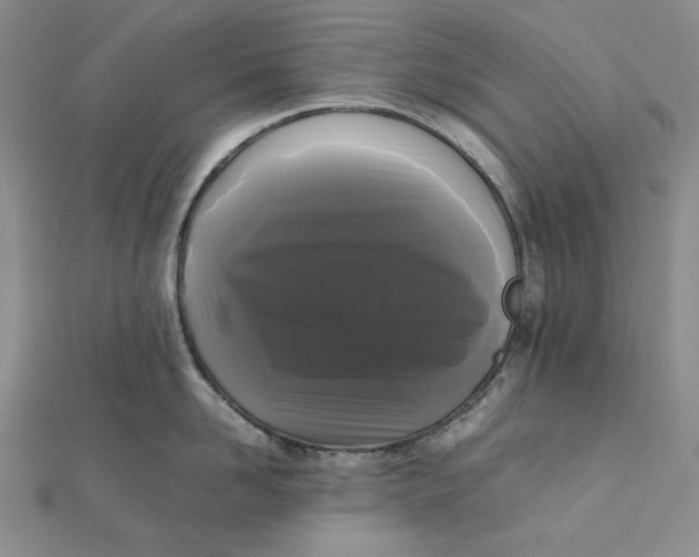 X0000112070958200908251040