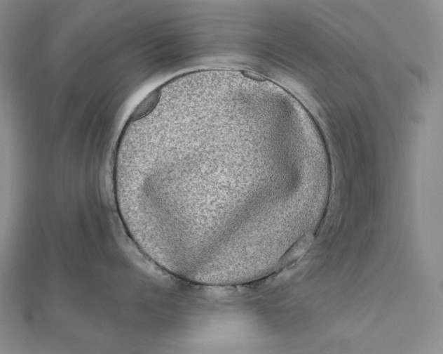 X0000112070960200908251040
