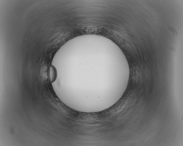X0000112070962200908251039