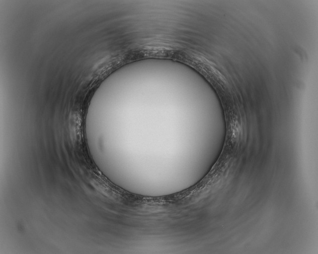 X0000112070964200908251039