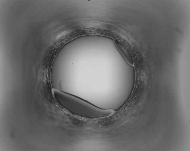 X0000112070965200908251039