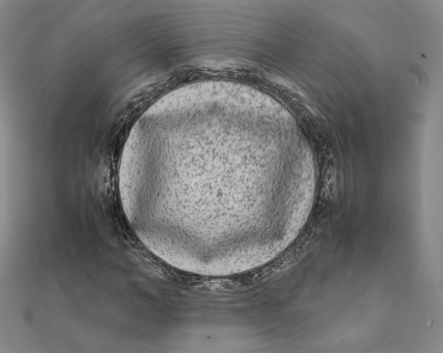 X0000112070966200908251039