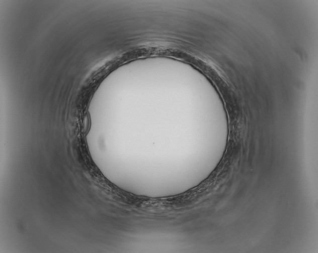 X0000112070967200908251039