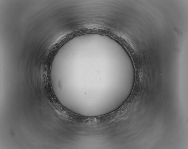 X0000112070968200908251039