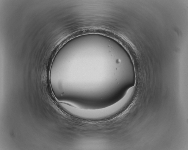 X0000112070969200908251039
