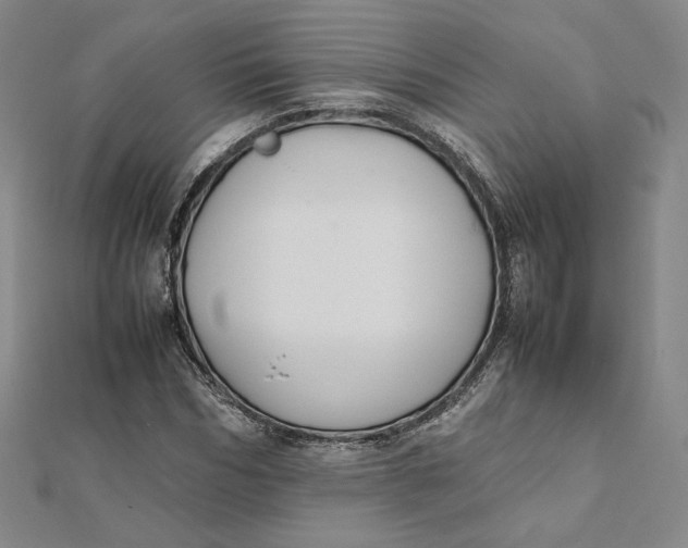 X0000112070970200908251039