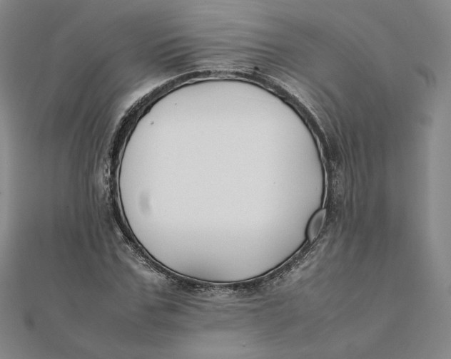 X0000112070971200908251039