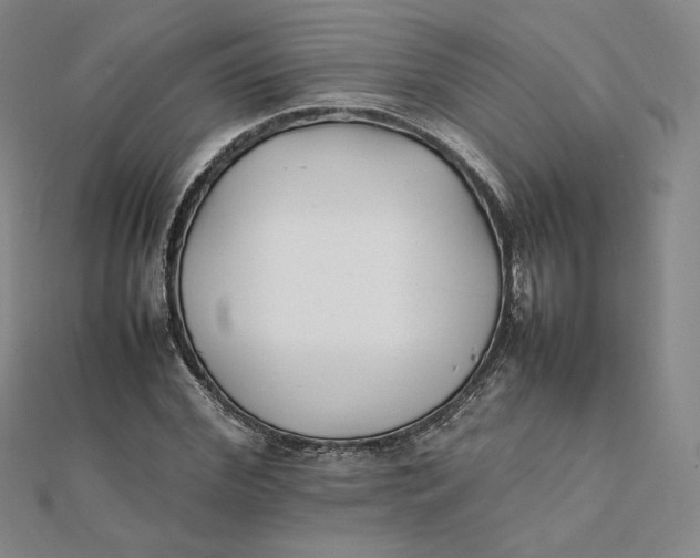 X0000112070972200908251039