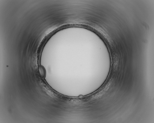 X0000112070974200908251039