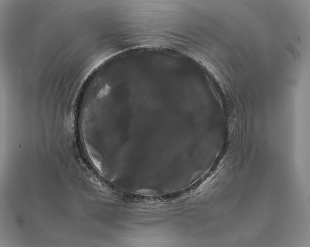 X0000112070975200908251039