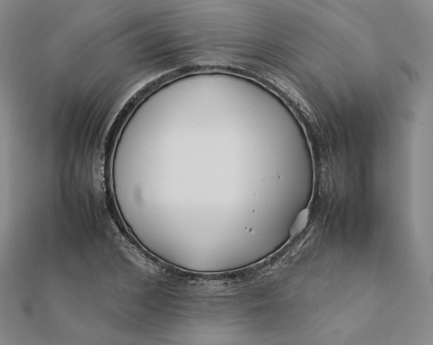X0000112070976200908251039
