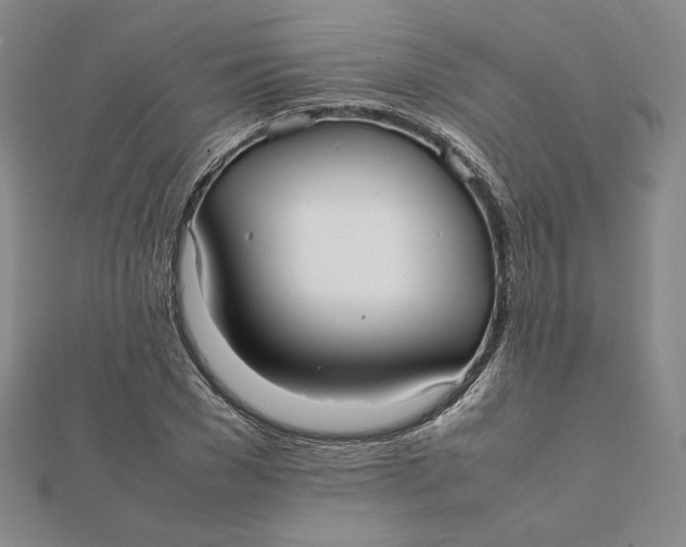 X0000112070977200908251039
