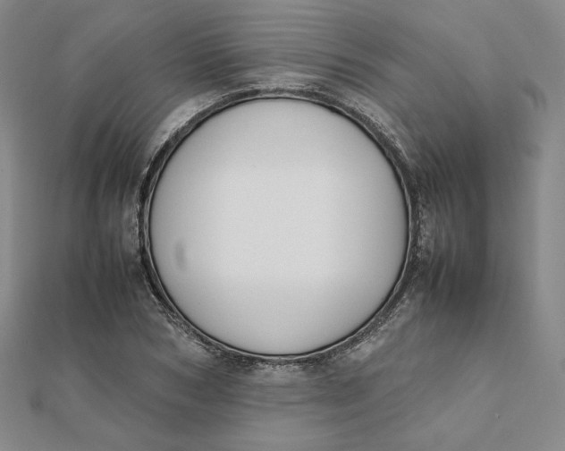 X0000112070978200908251039
