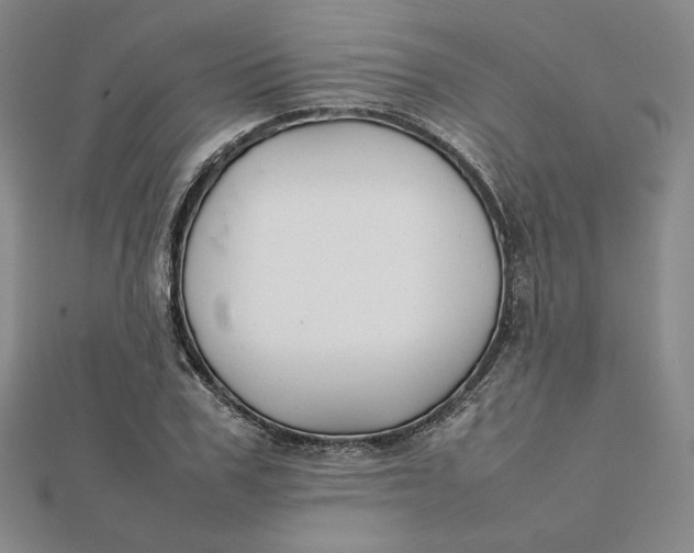 X0000112070979200908251039