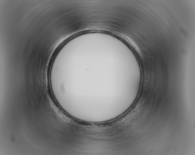 X0000112070980200908251039