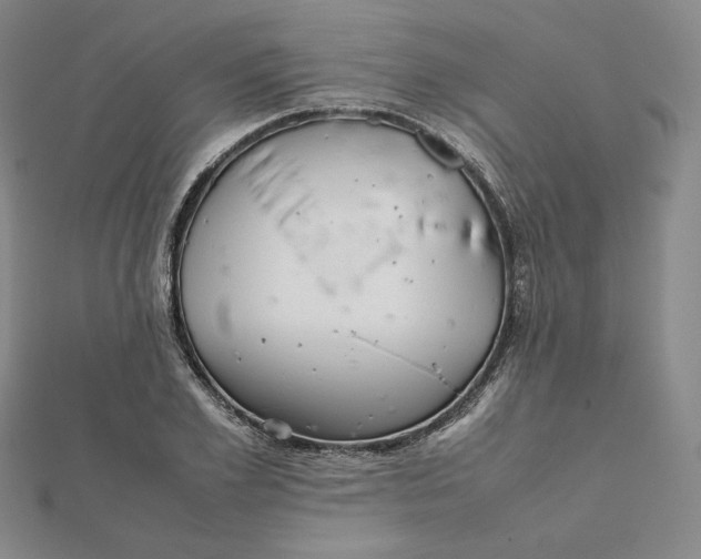 X0000112070981200908251039
