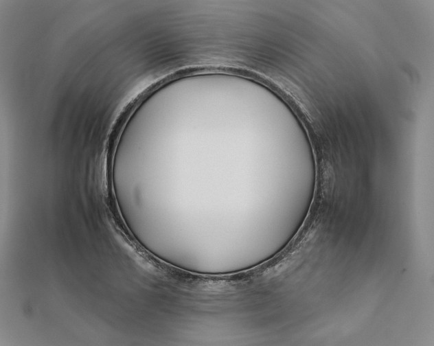 X0000112070982200908251039