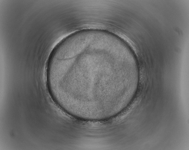 X0000112070983200908251039