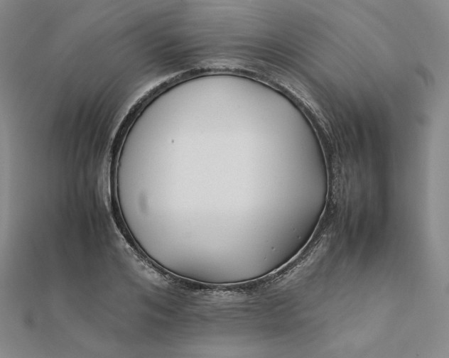 X0000112070984200908251039