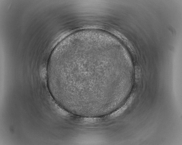 X0000112070985200908251039
