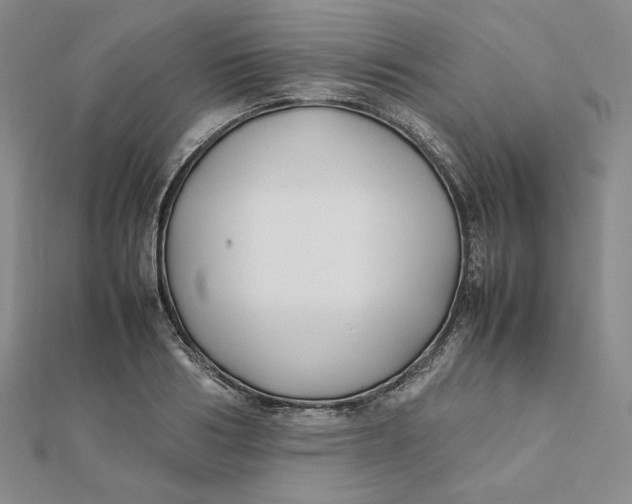 X0000112070986200908251038