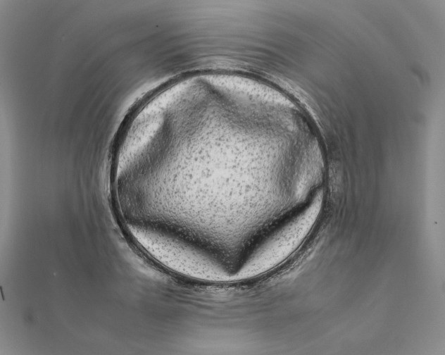 X0000112070987200908251038
