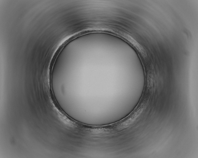 X0000112070988200908251038