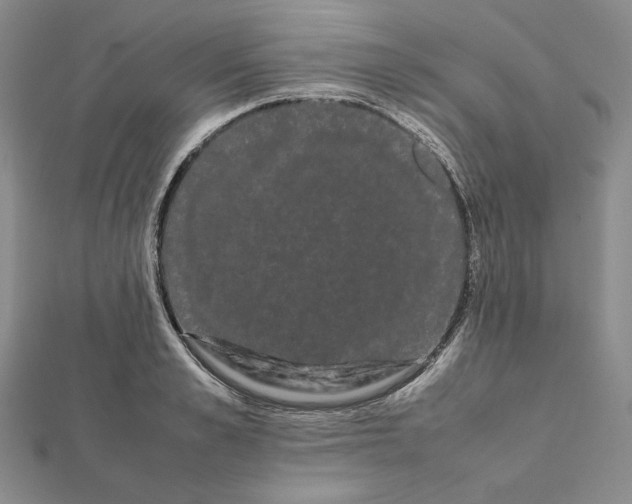 X0000112070989200908251038