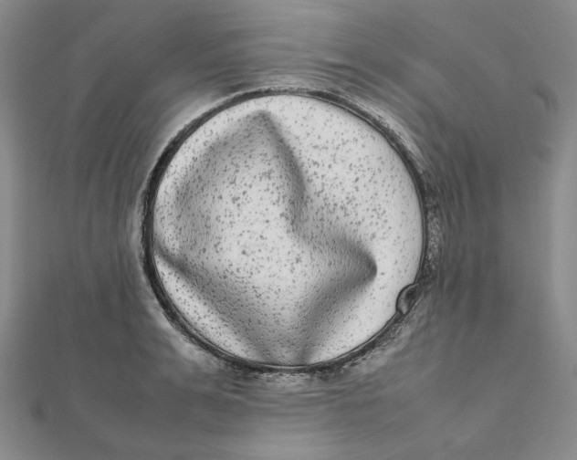 X0000112070991200908251038