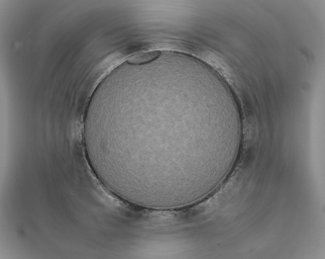 X0000112070993200908251038