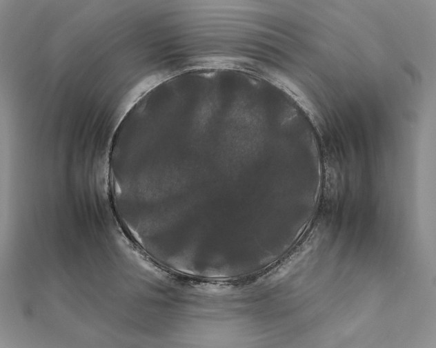 X0000112070994200908251038