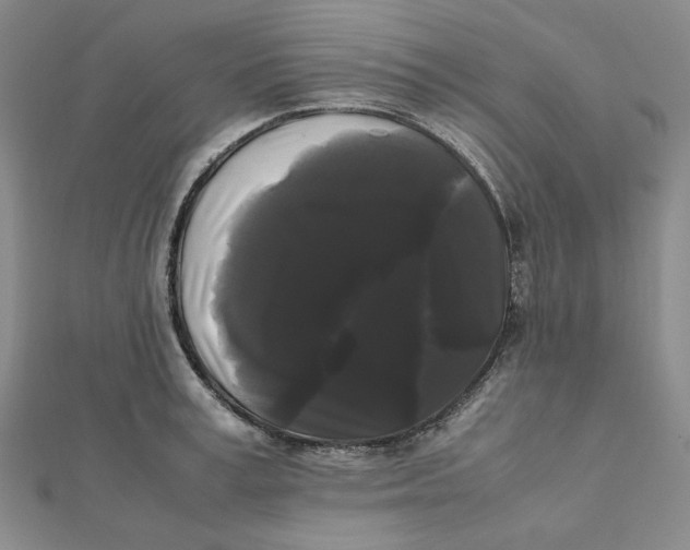 X0000112070995200908251038