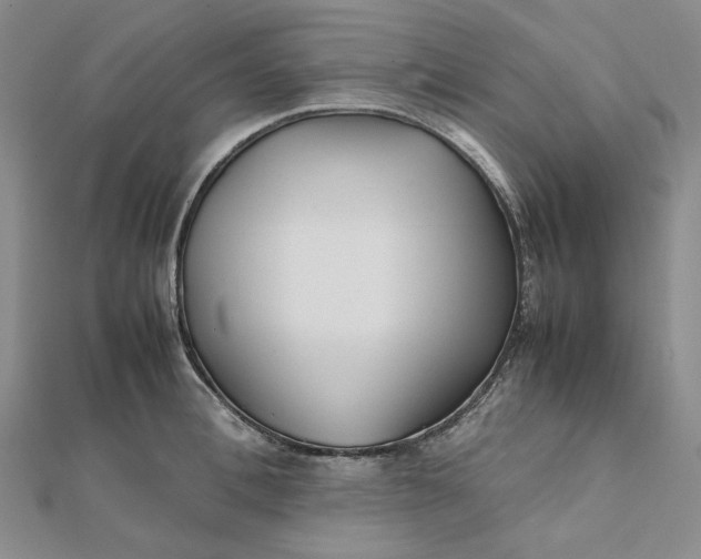 X0000112070996200908251038