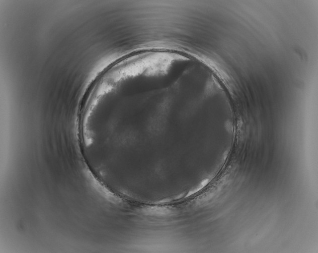 X0000112070998200908251038
