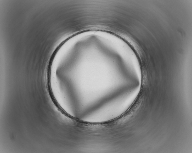 X0000112070999200908251038
