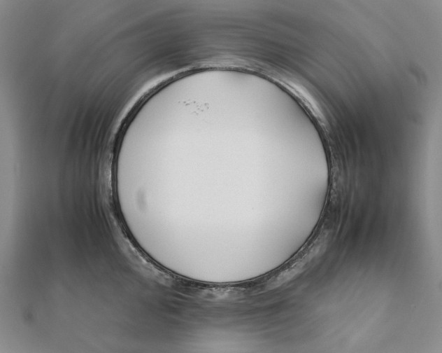 X0000112071000200908251038