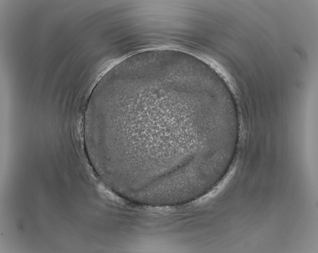 X0000112071001200908251038