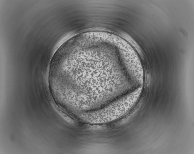 X0000112071002200908251038