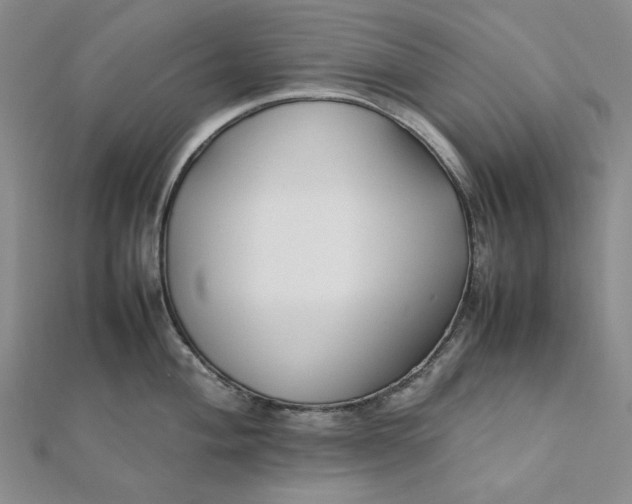 X0000112071004200908251038